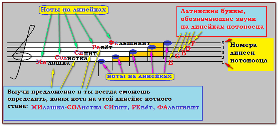 Нотный стан. Ключи